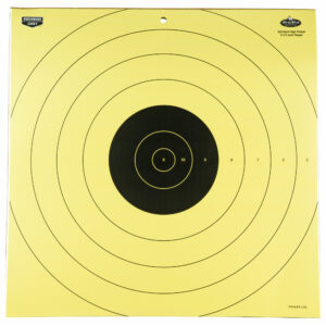 Birchwood Casey B/C DIRTY BIRD 100YD RIFLE 5-17.75"